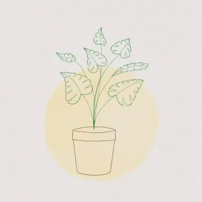 Logo con illustrazione minimalista di una pianta beige