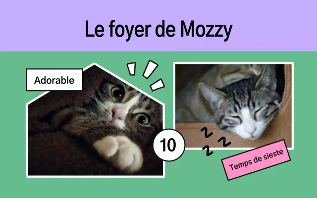 Le joli portfolio d'animaux de compagnie de Yeon Bora