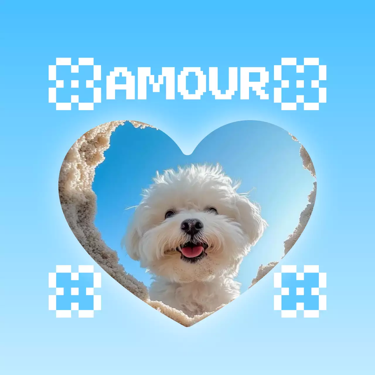 Cadre photo pour animaux de compagnie mignon