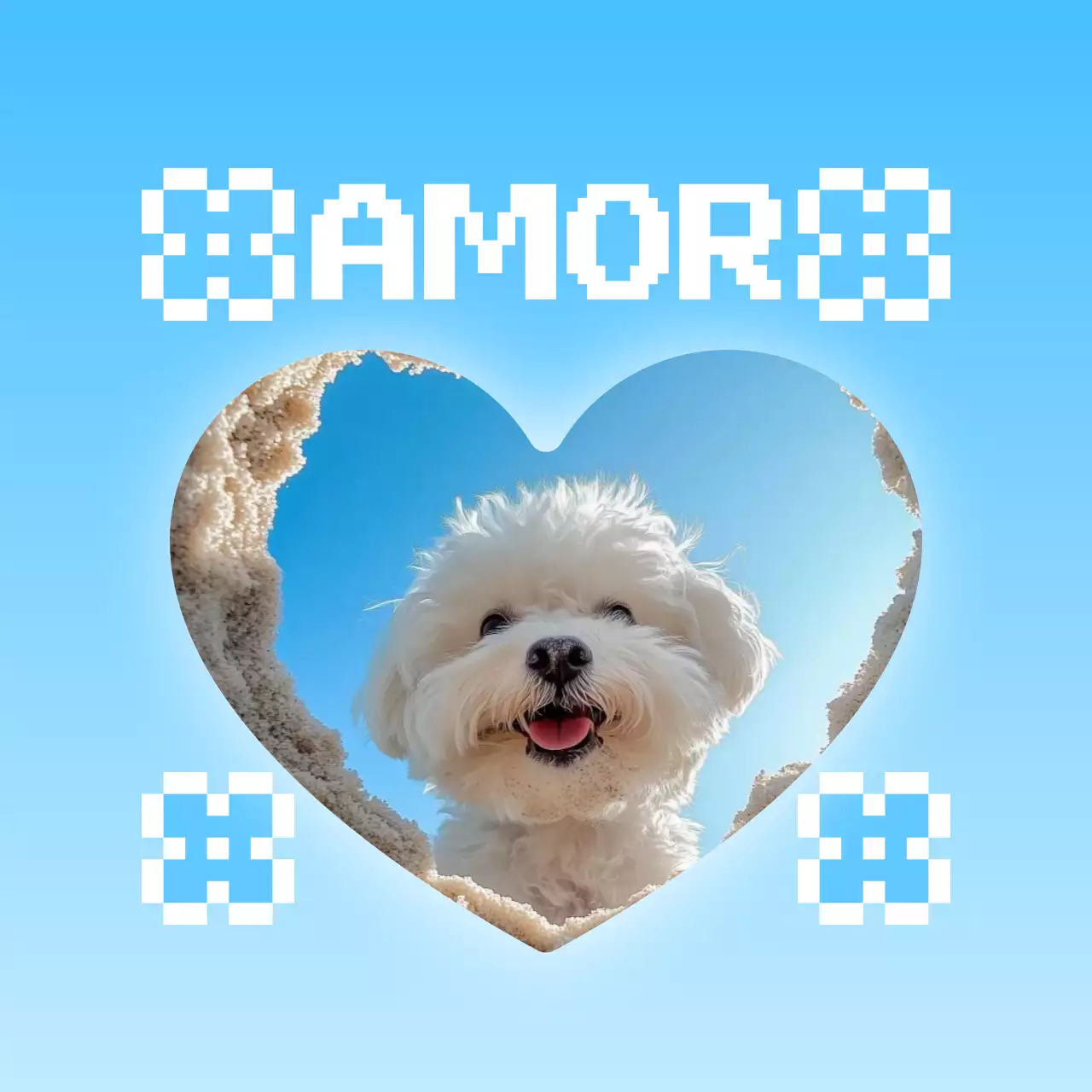 Moldura fofa para fotos de animais de estimação