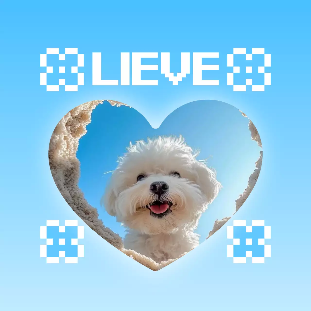 Schattig fotolijstje voor huisdieren