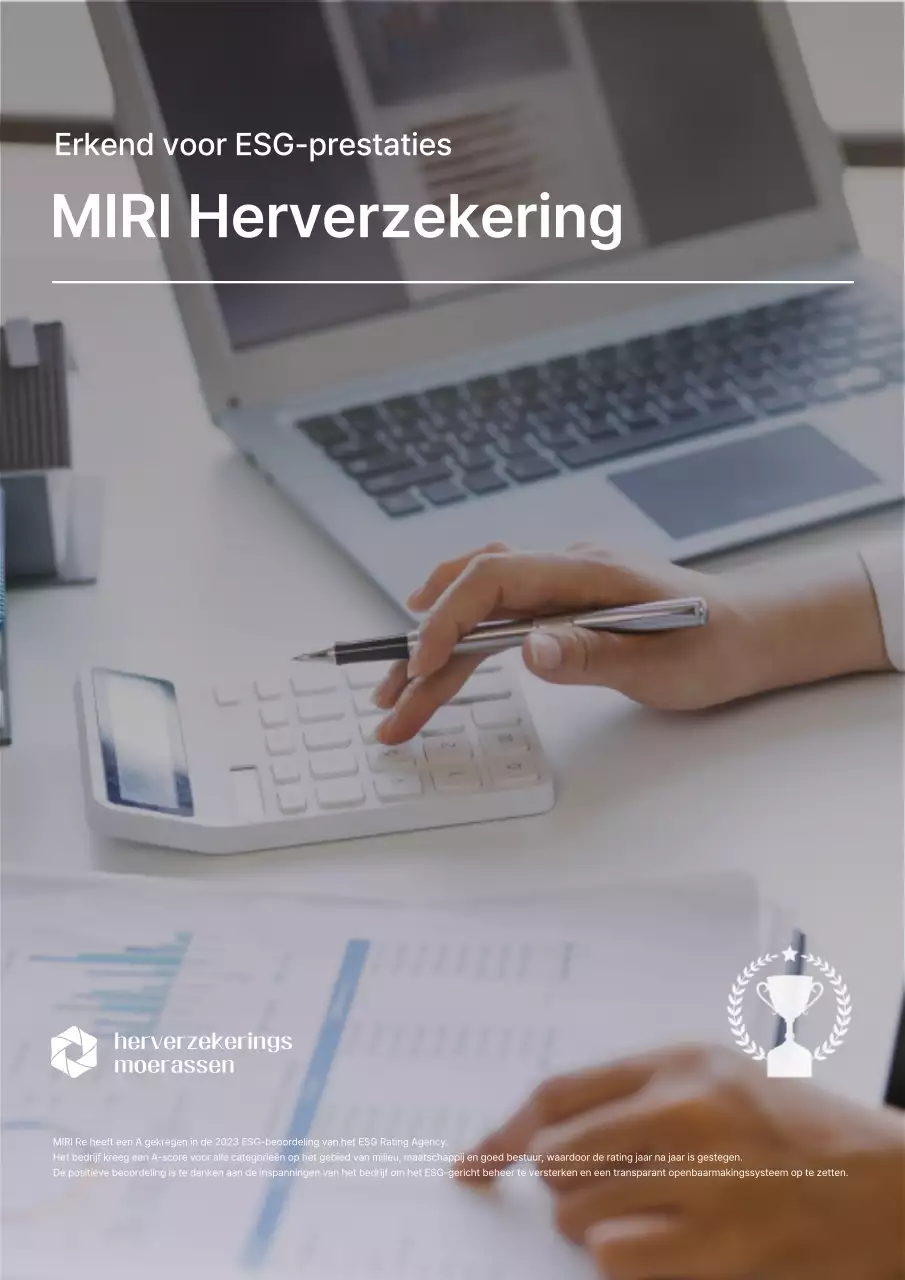 Grijze moderne financiële advertentie