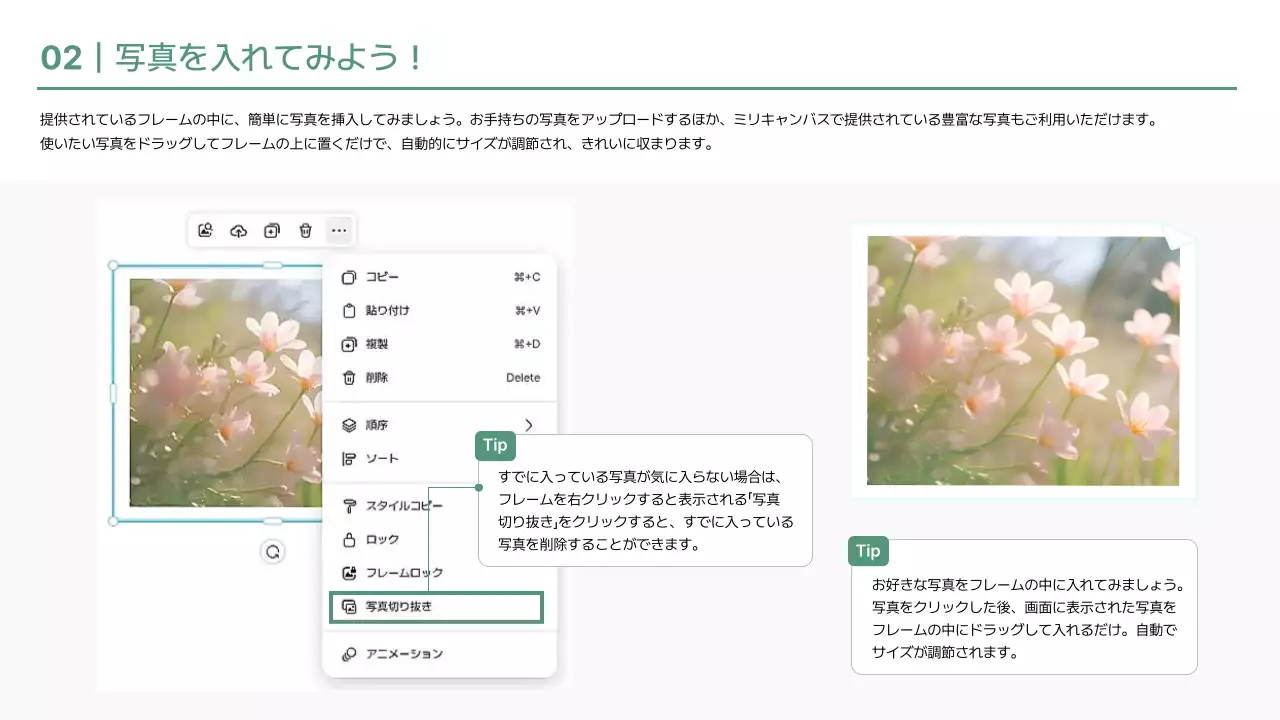 緑 かわいい 教育 プレゼンテーション