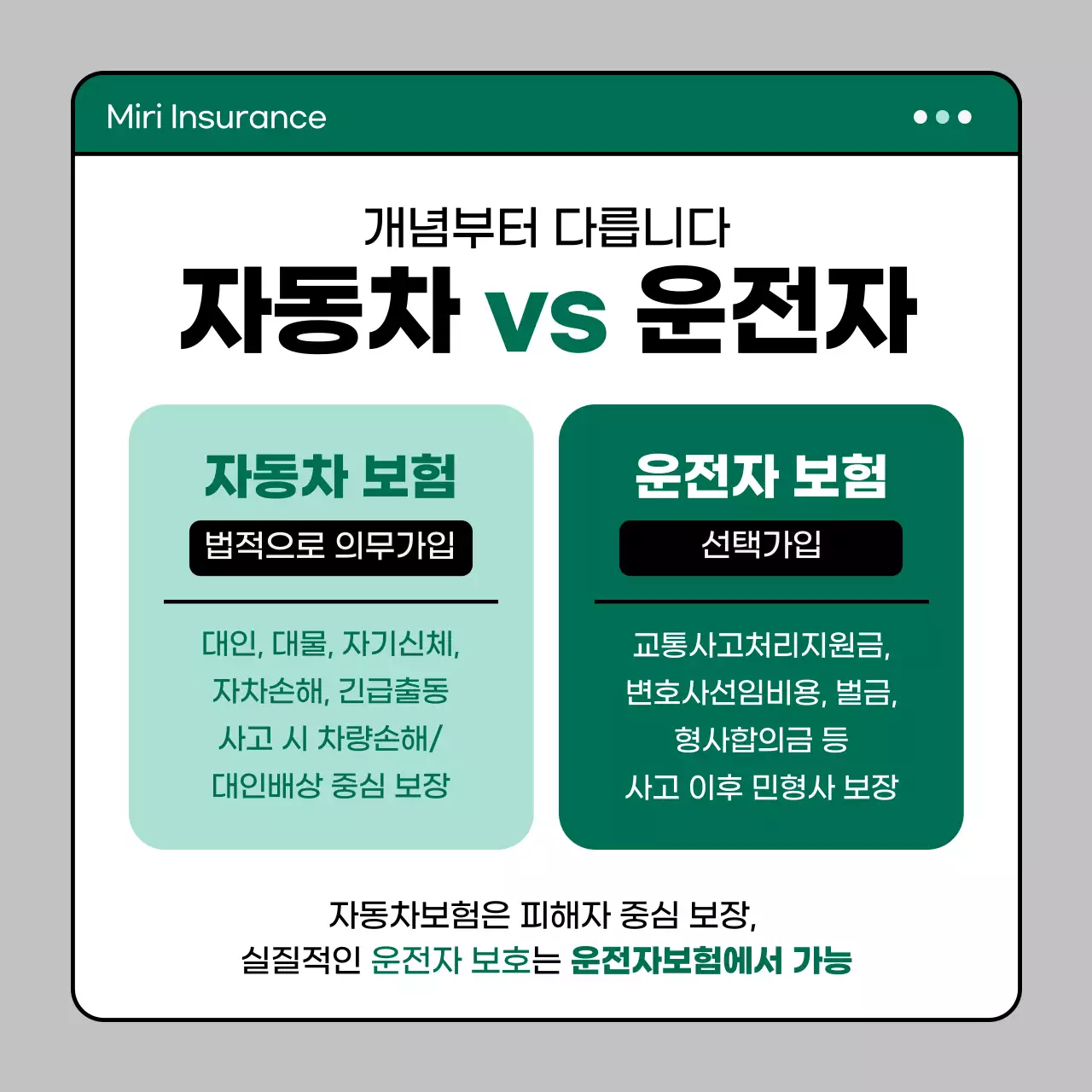 민트 모던 보험 안내