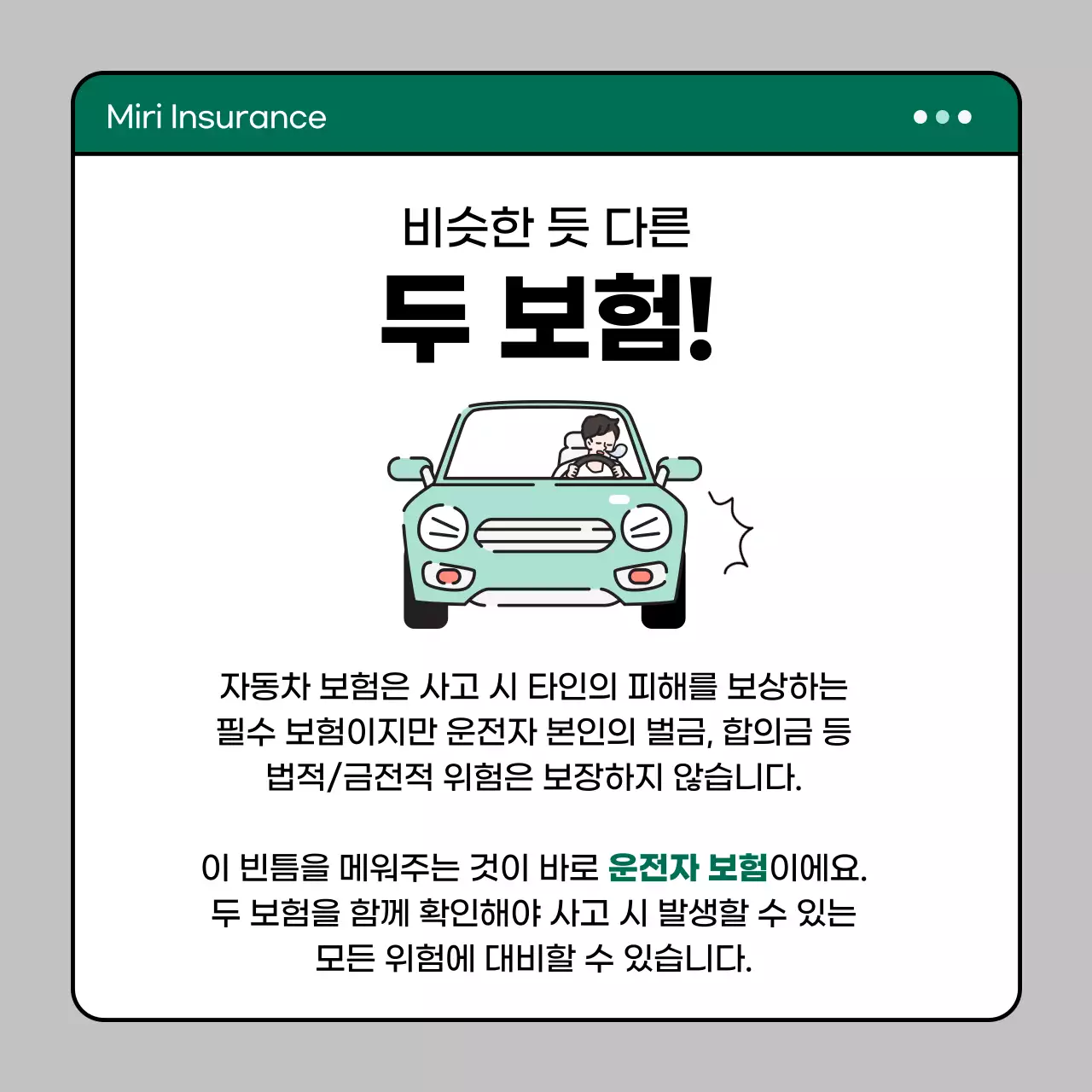 민트 모던 보험 안내