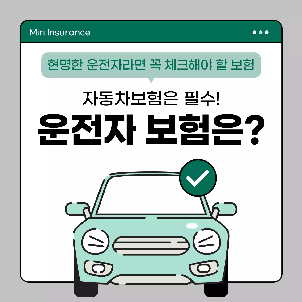 민트 모던 보험 안내