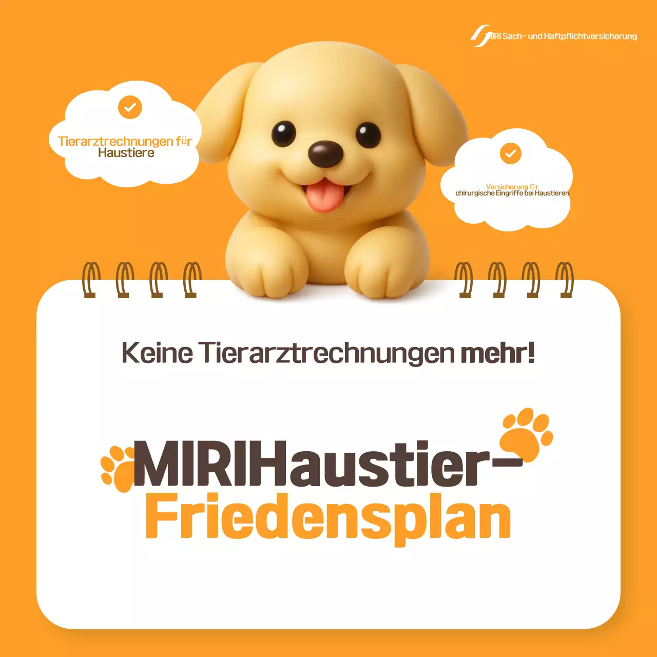 Anzeige der Orange Baby Haustierversicherung