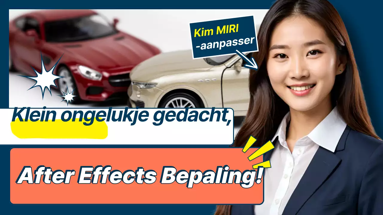 Blauwe Moderne Schadeverzekeringsgids