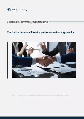 Gray Modern Herverzekeringsbedrijf Promotie