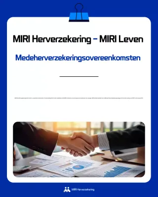 Promotie van de Blauwe Moderne Herverzekeringsbranche