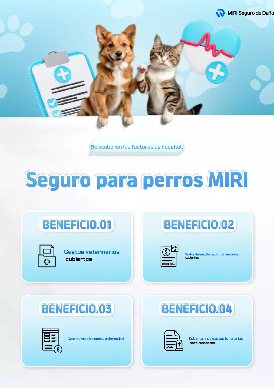 Promoción de seguro para mascotas en color azul cielo.