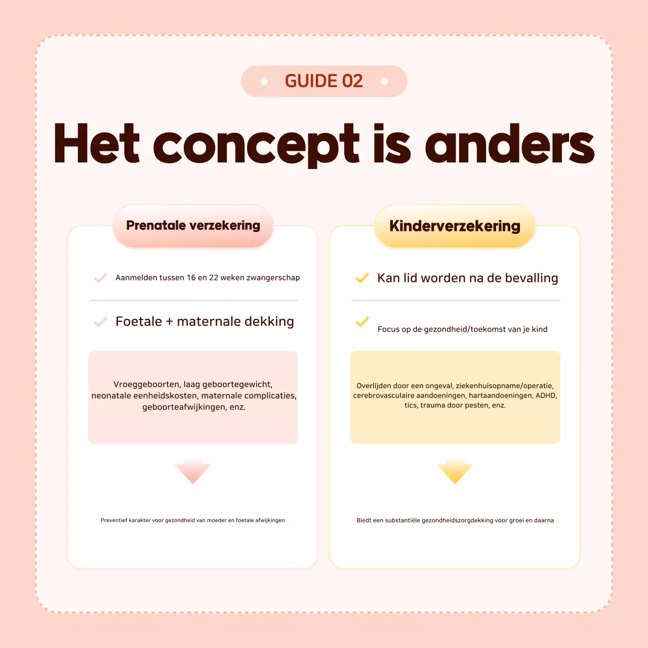 Informatie over Pink Baby-verzekeringen