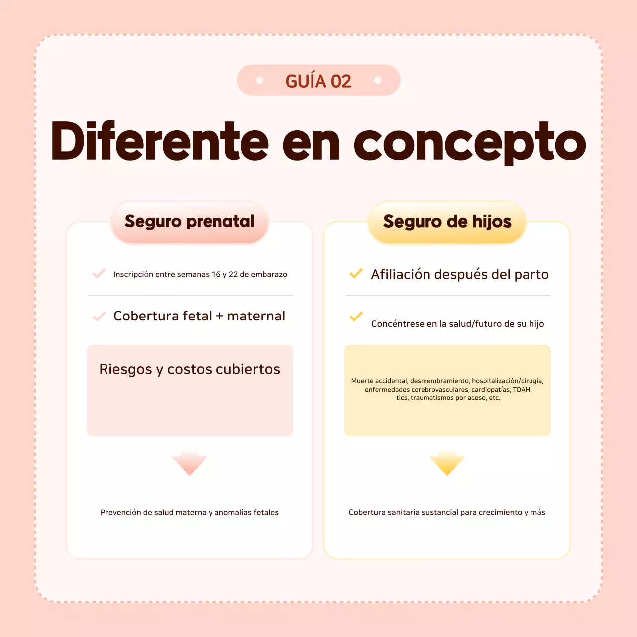 Información del seguro para bebés Pink Baby