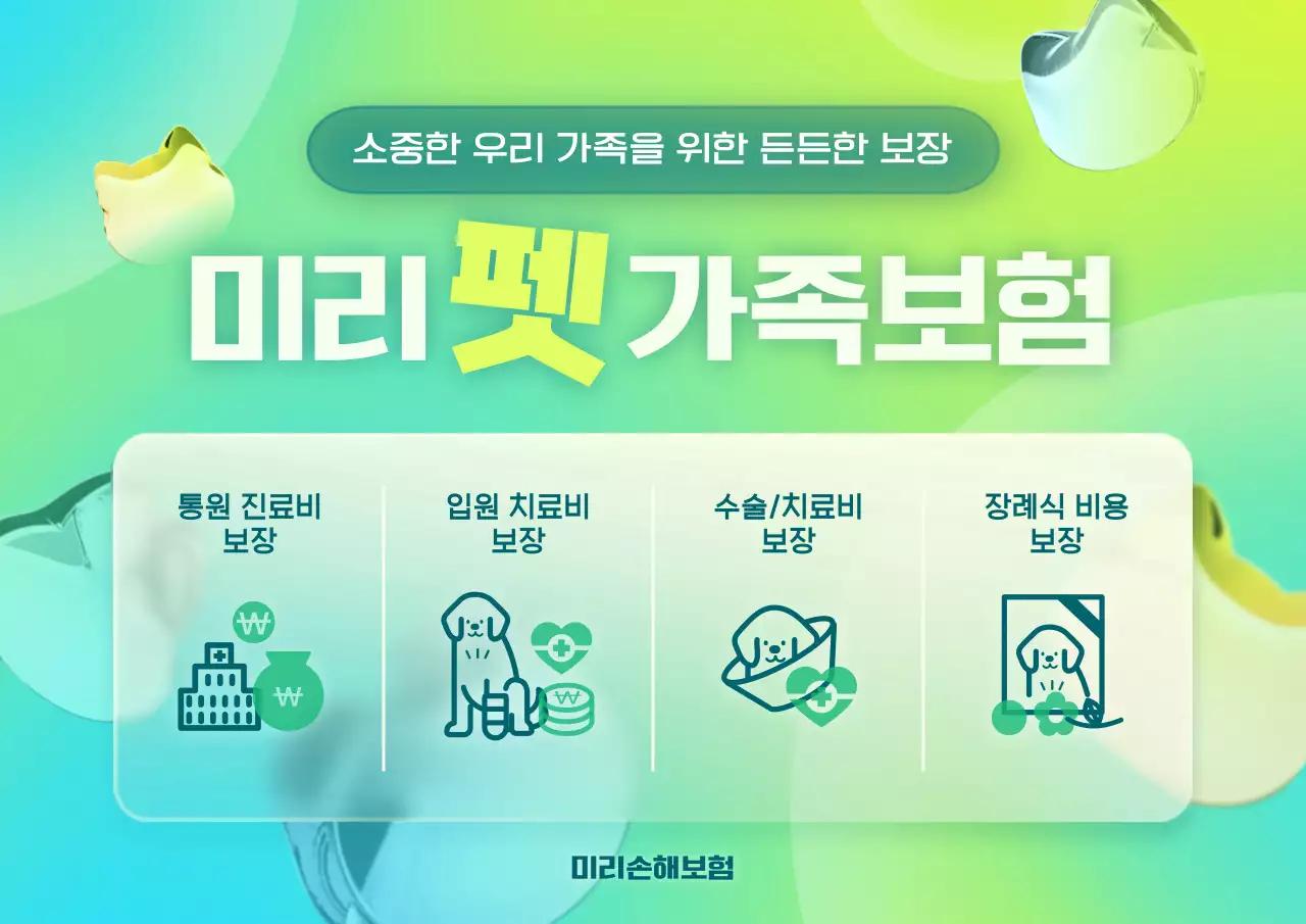 연두 모던 보험 광고