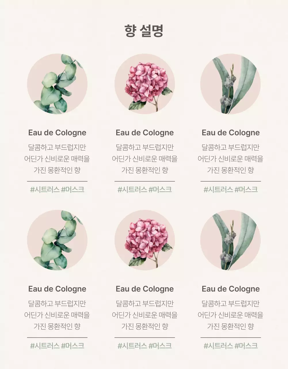 아이디어스_화장품향수