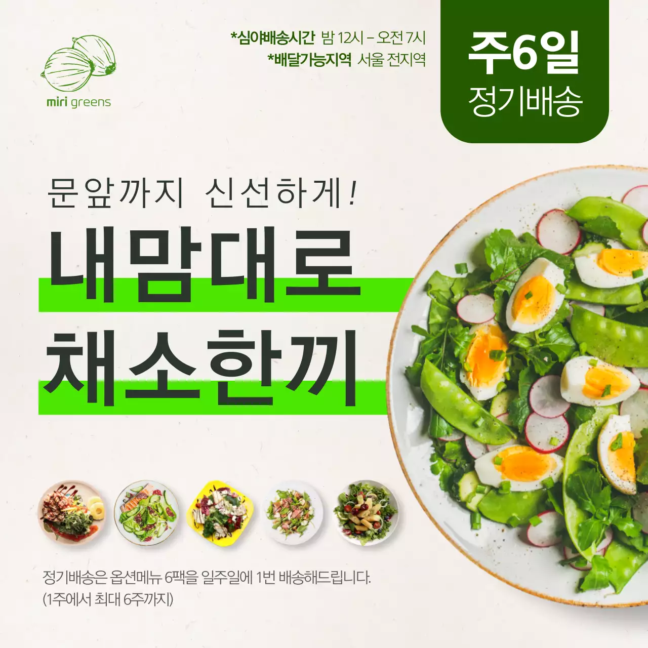 연두색 심플한 샐러드정기배송 요일가격 설명