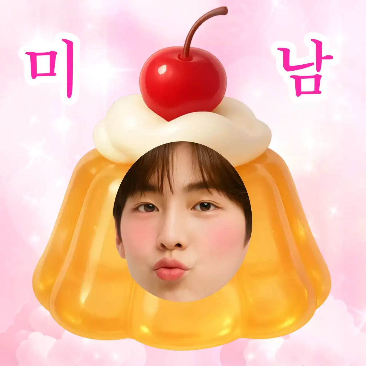 핑크 병맛 패러디 짤 연예인 굿즈 아이돌 생일 축하 감사 밈