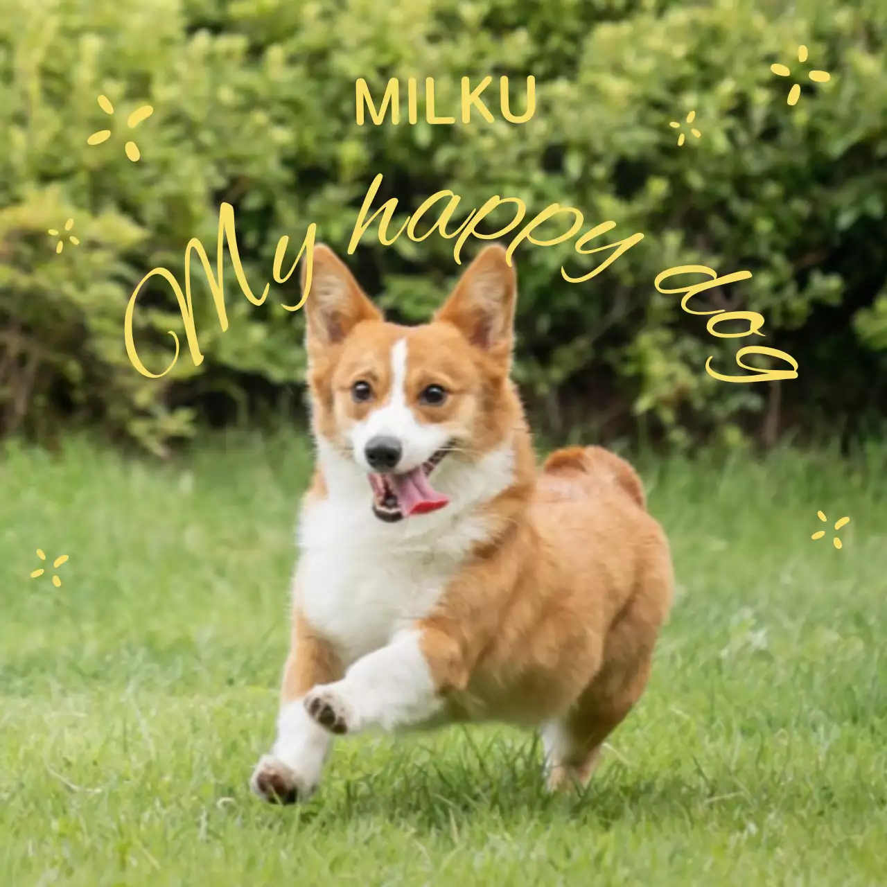 굿즈 초록 아기자기한 반려동물 스티커