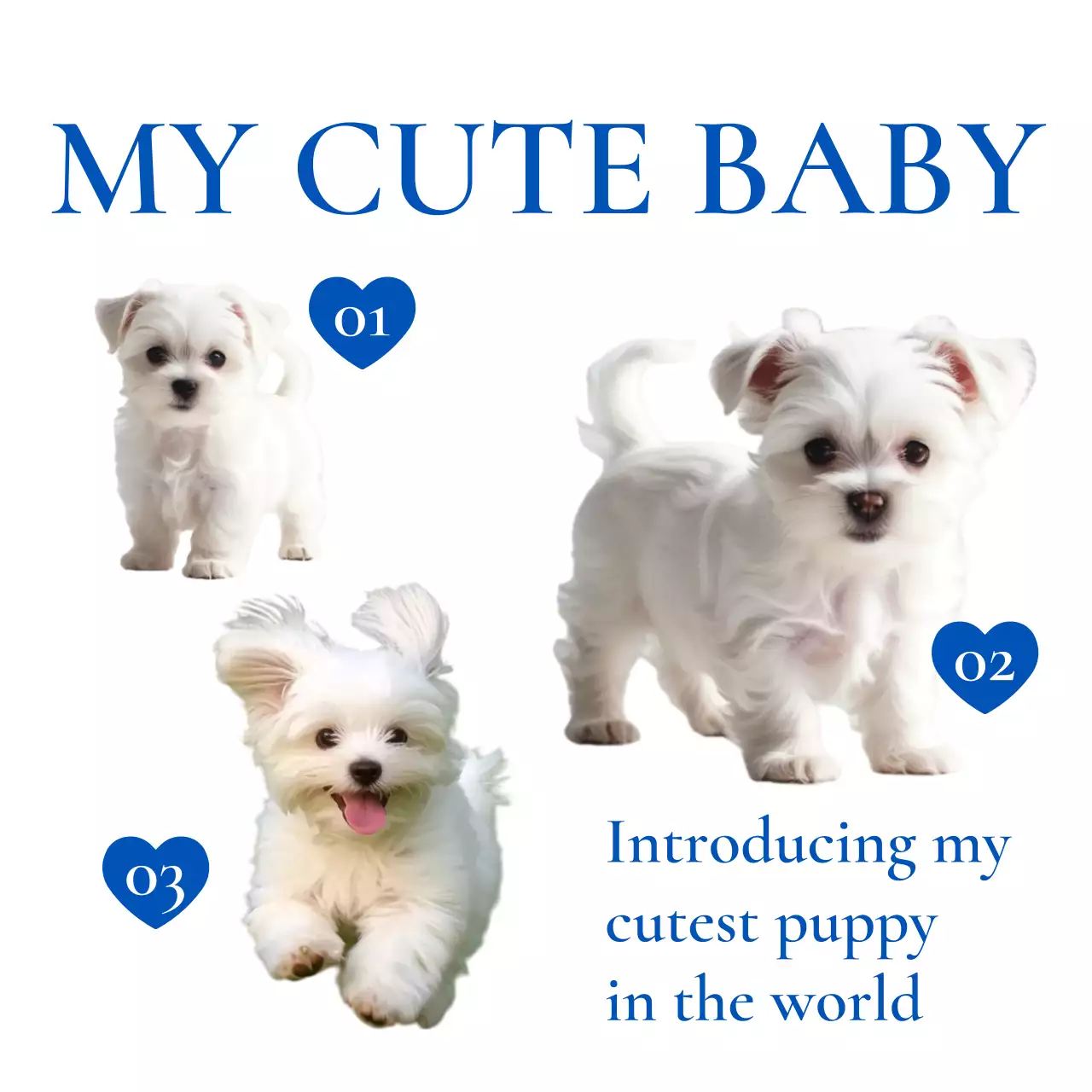 파랑 아기자기한 반려동물 밈 스티커 감성 굿즈