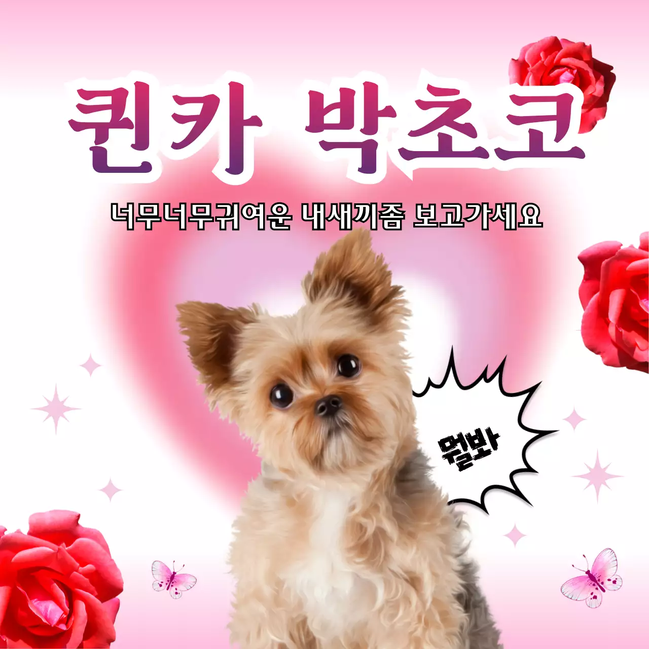 핑크 아기자기한 반려동물 스티커 밈 굿즈
