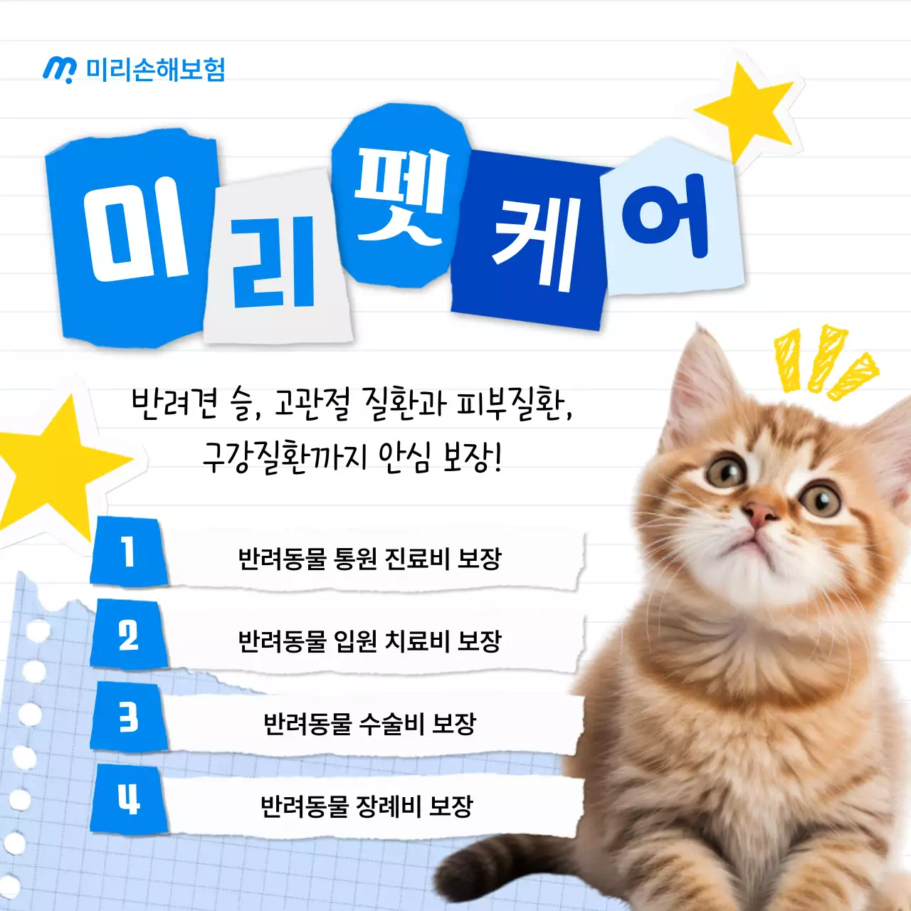 파랑 아기자기한 반려동물 보험 홍보