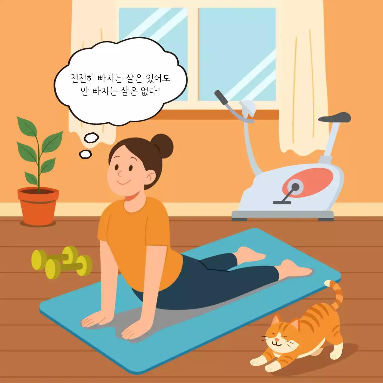 고양이와 함께 여름 다이어트 결심