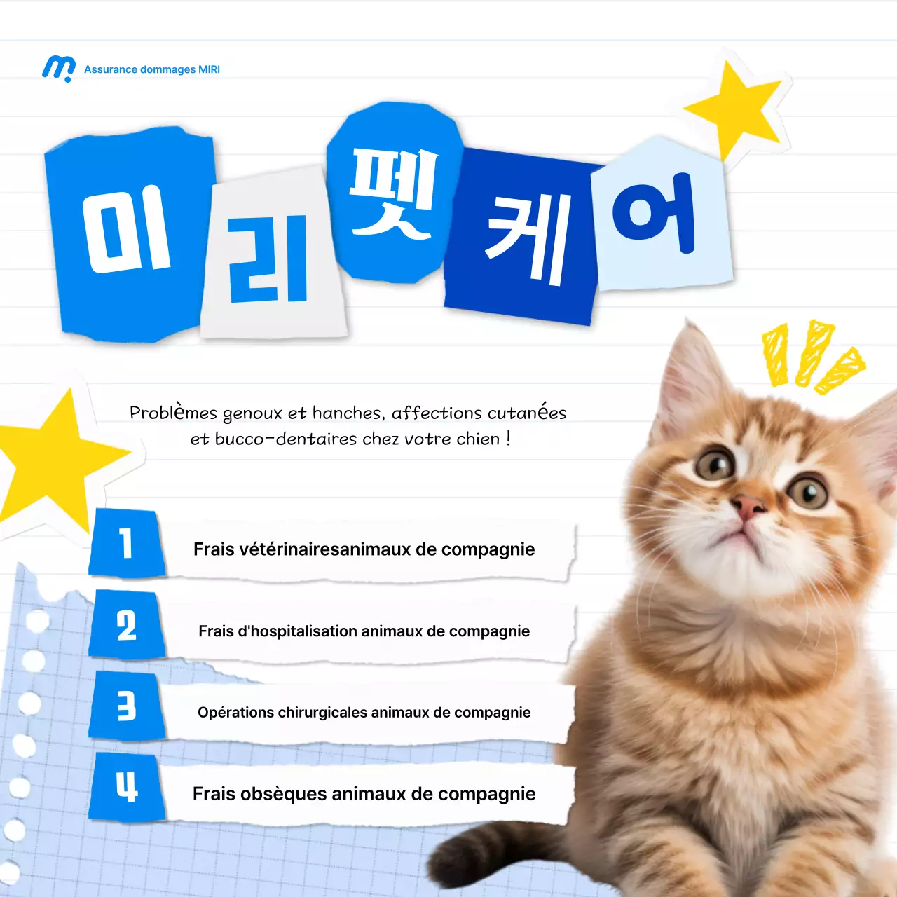 Promotion d'assurance pour animaux de compagnie Blue Baby