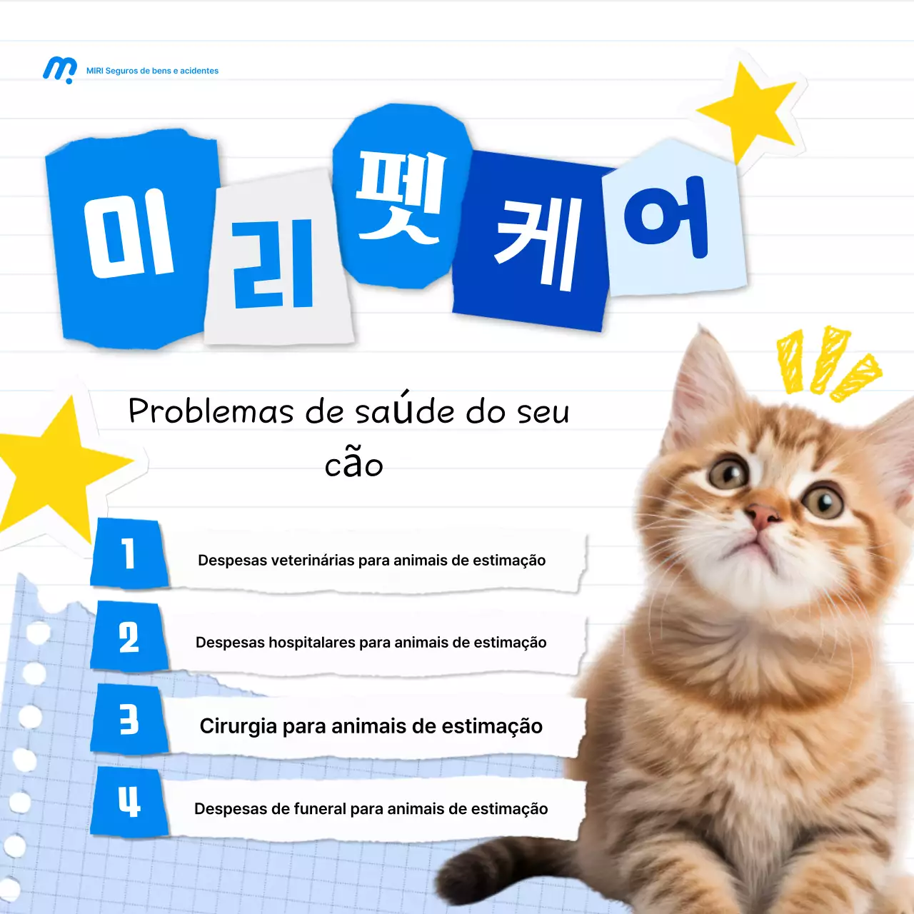 Promoção de seguro para animais de estimação Blue Baby