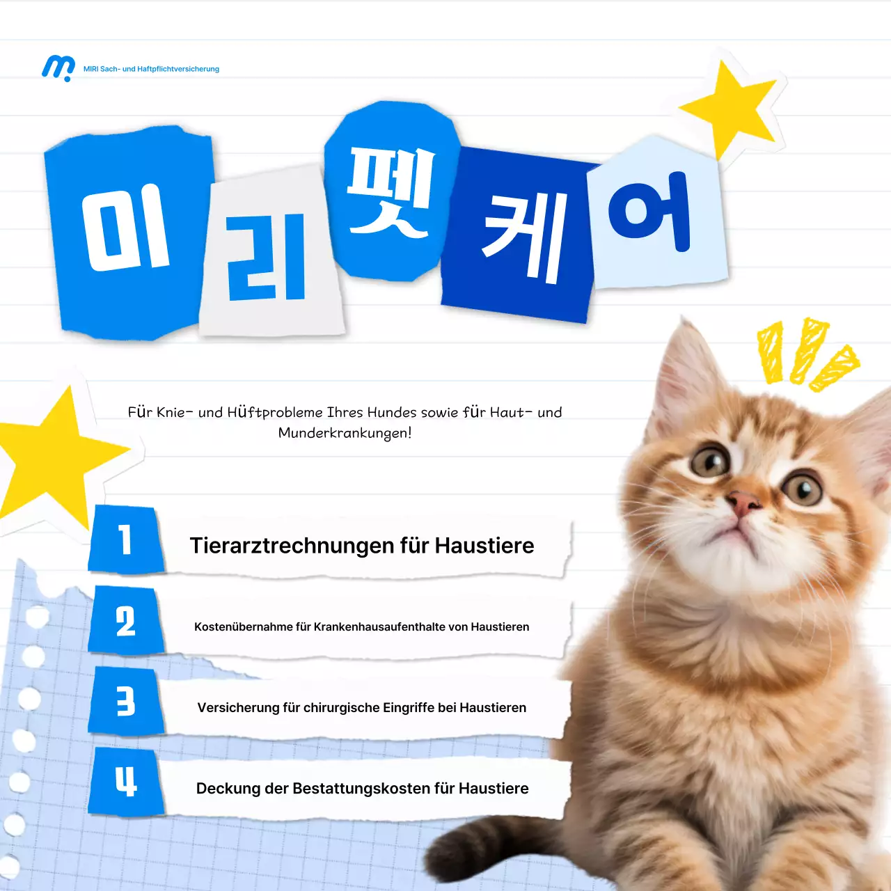 Blue Baby Haustierversicherungsangebot