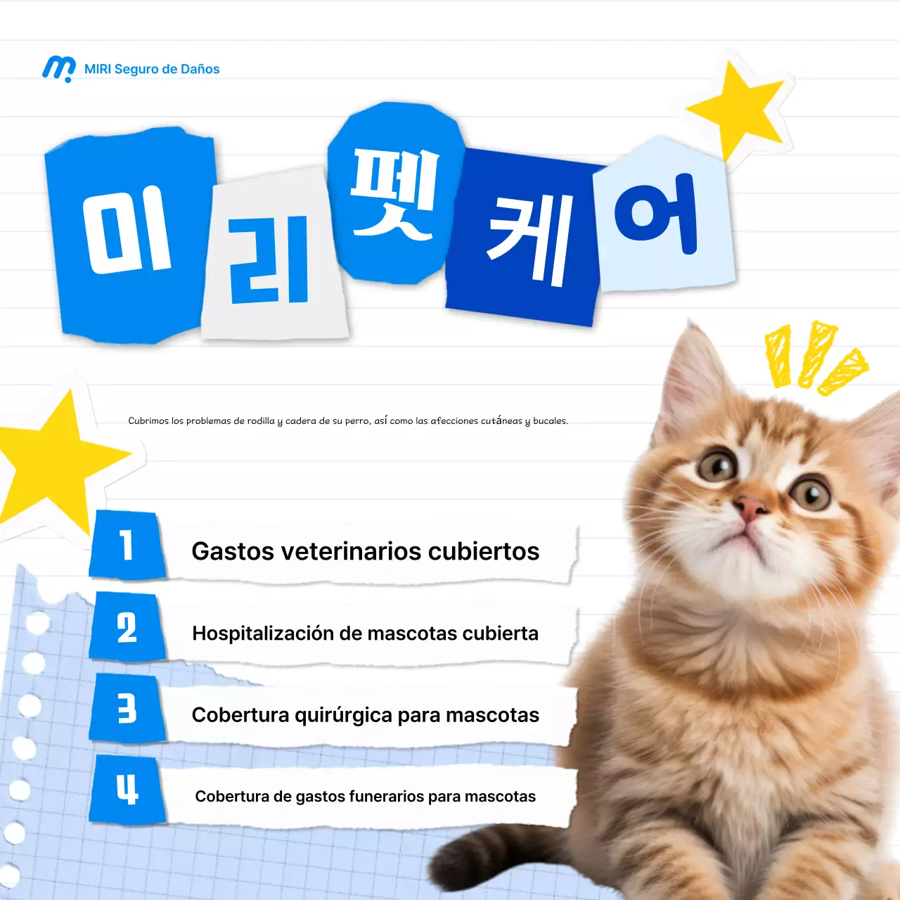 Promoción de seguro para mascotas Blue Baby