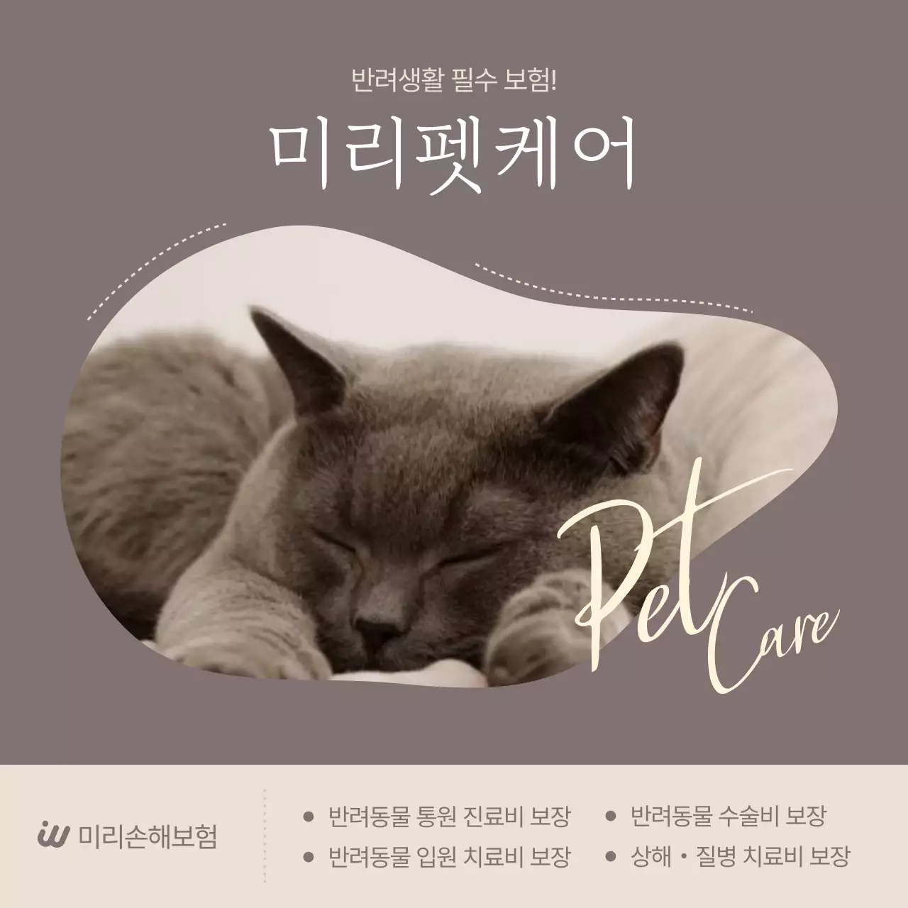 회색 깔끔 반려동물 보험 광고