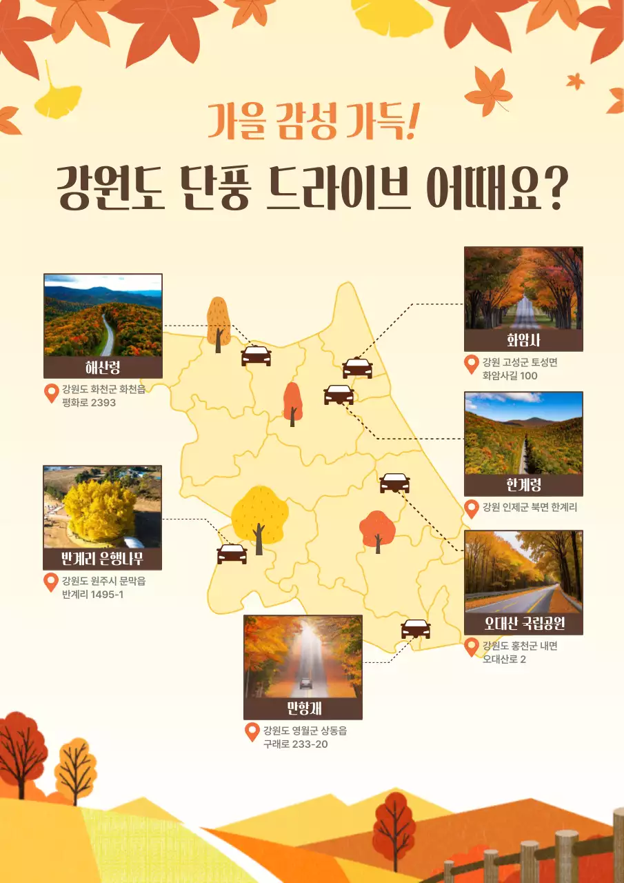 주황 뉴트로 여행 안내