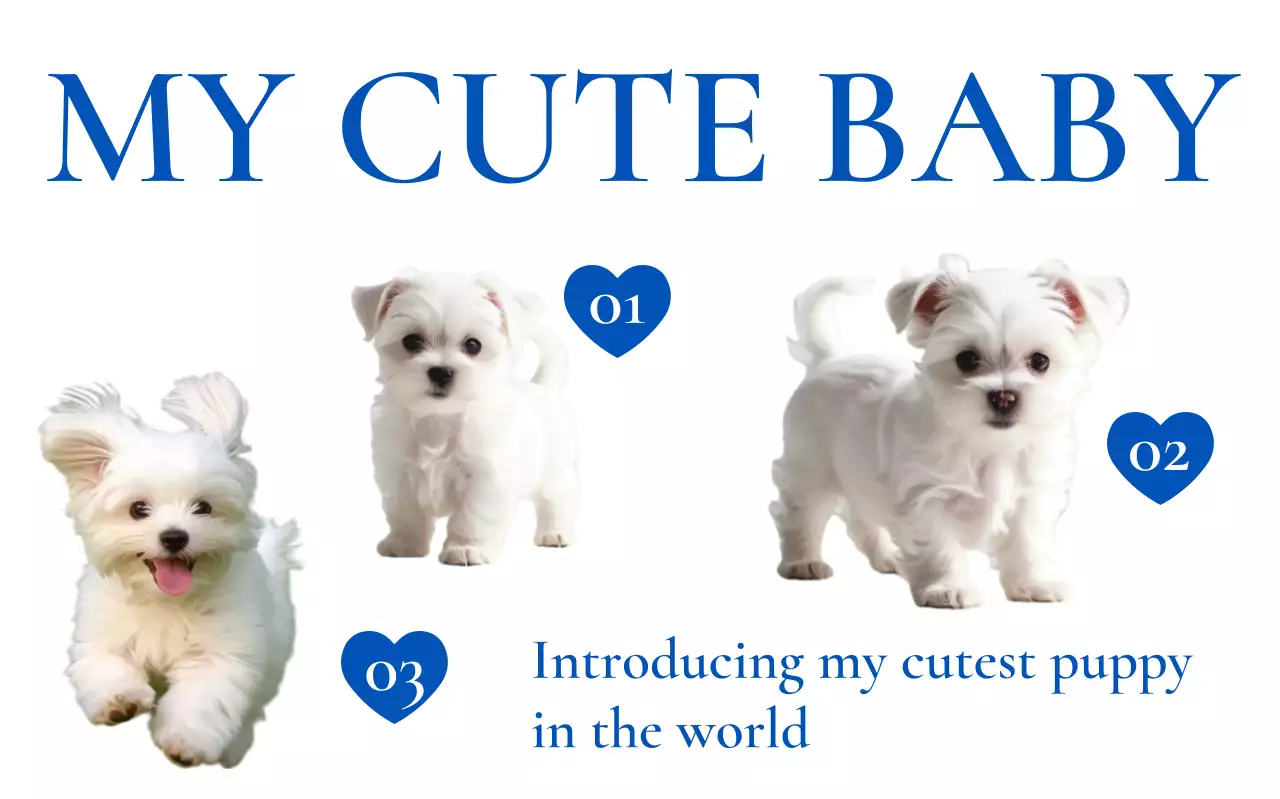 파랑 아기자기한 반려동물 홍보