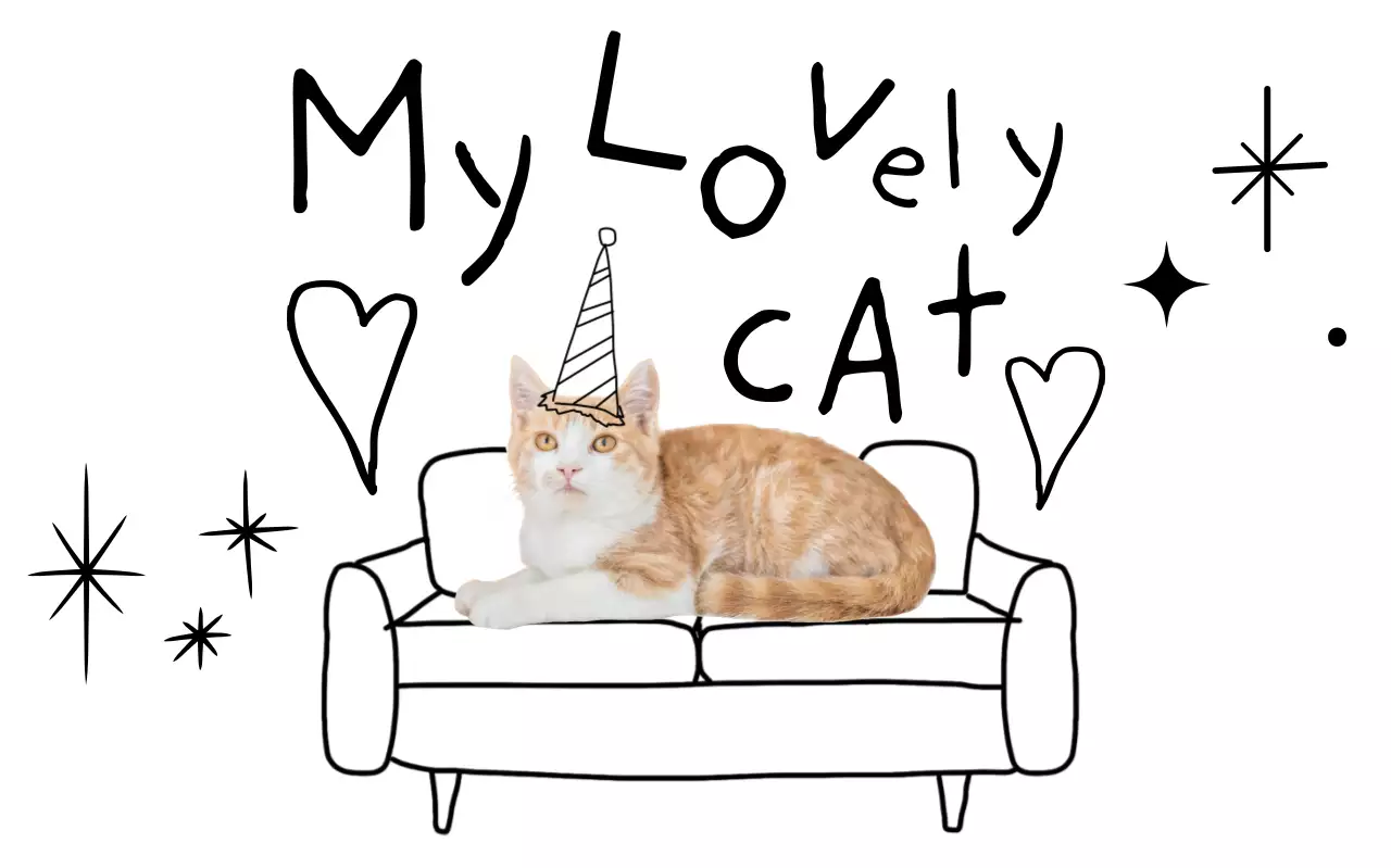 검정 심플 반려동물 엽서 굿즈