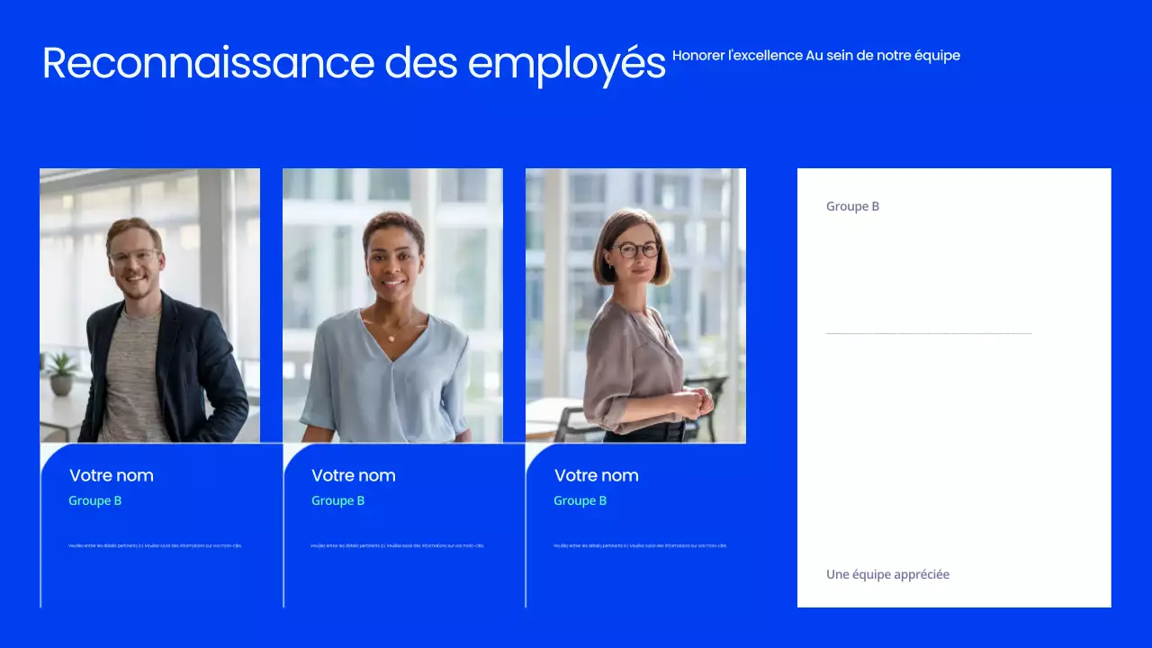 Présentation de la réunion publique Blue Professional
