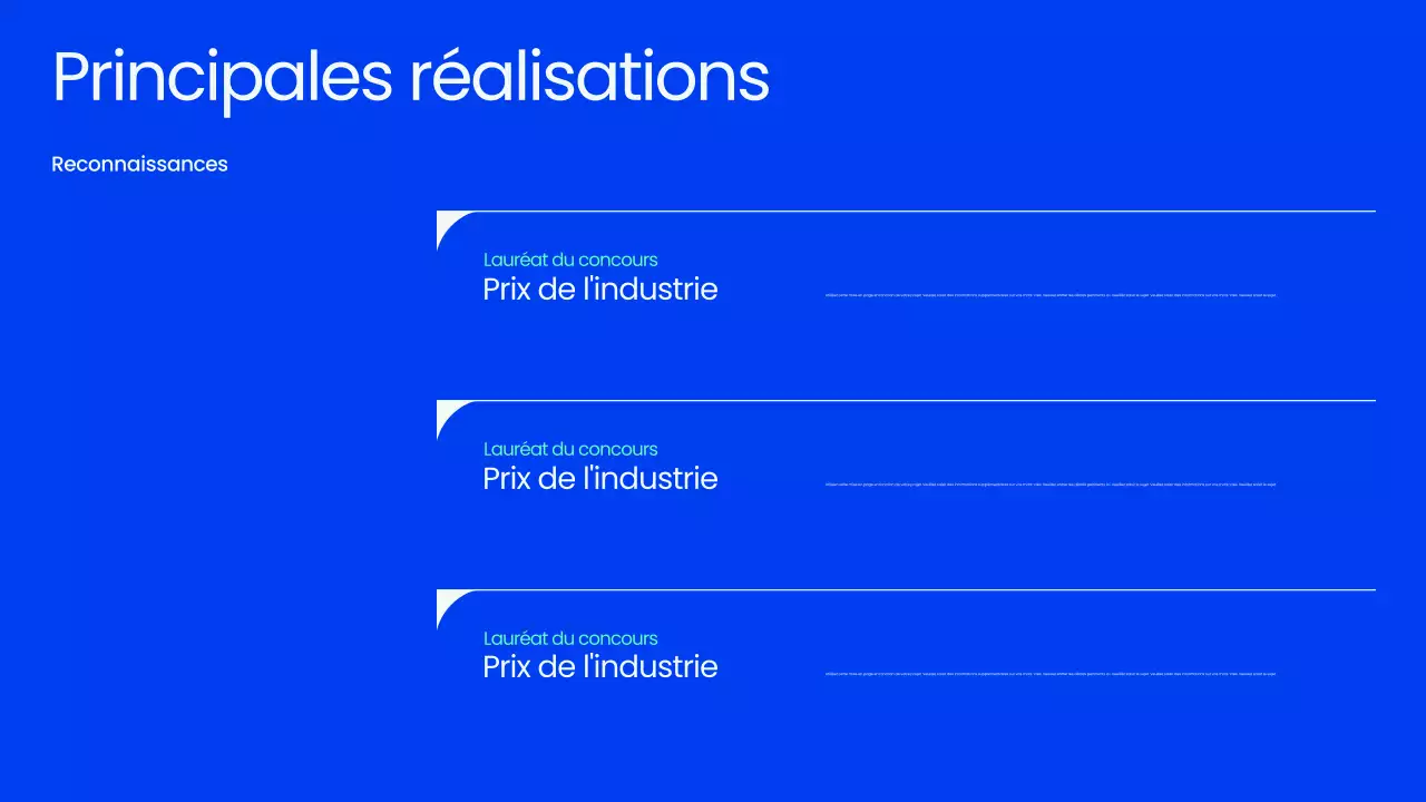 Présentation de la réunion publique Blue Professional