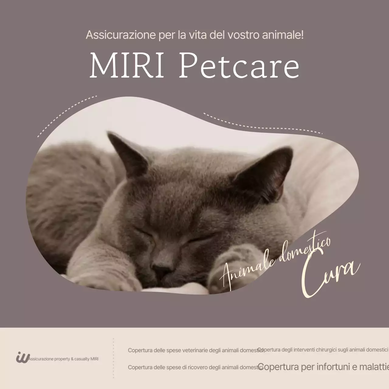 Pubblicità di Gray Neat Pet Insurance