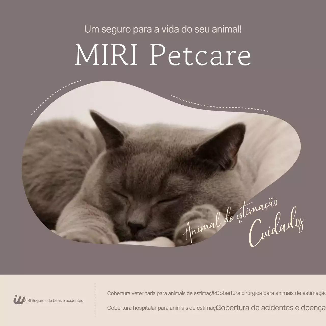 Anúncio de seguro para animais de estimação Gray Neat