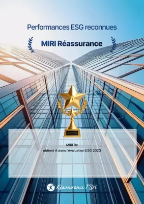 Publicité de performance de gestion moderne Sky Blue