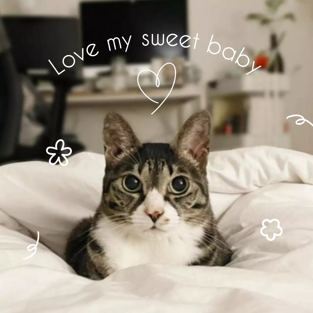 흰색 아기자기한 반려동물 엽서