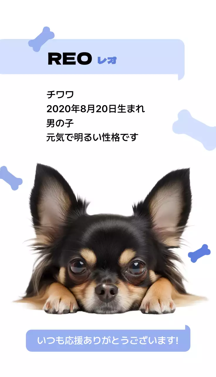 青 かわいい 動物の写真