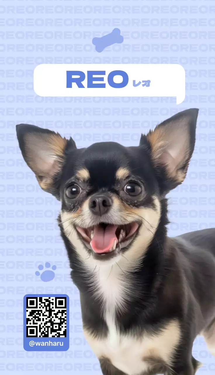 青 かわいい 動物の写真