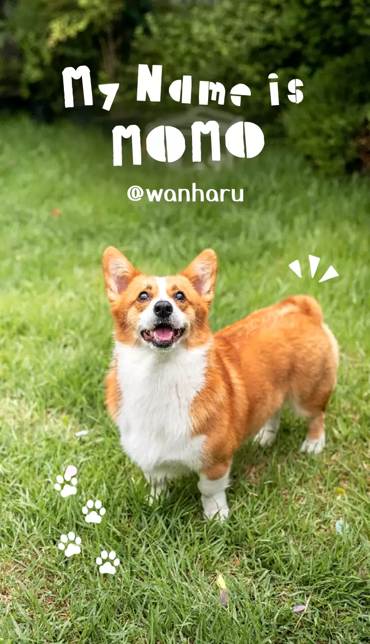 緑 かわいい 名刺 動物の写真