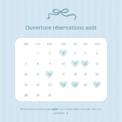 Guide de réservation simple Sky Blue Calendrier