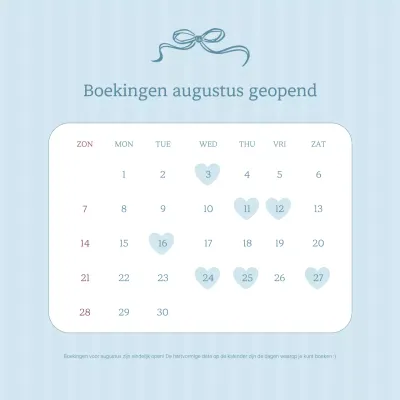 Sky Blue Simple Reserveringsgids Kalender