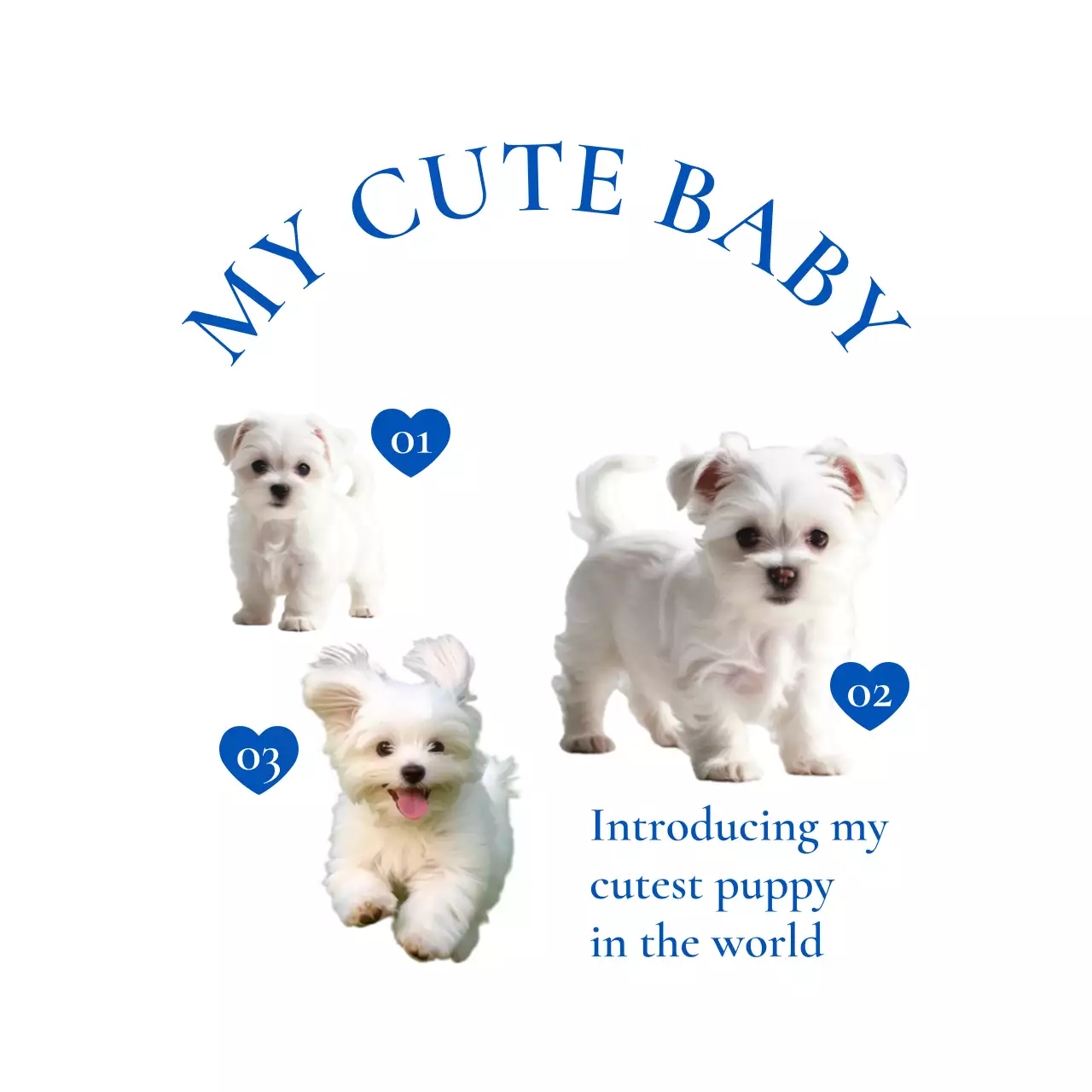 흰색 아기자기한 강아지 스티커