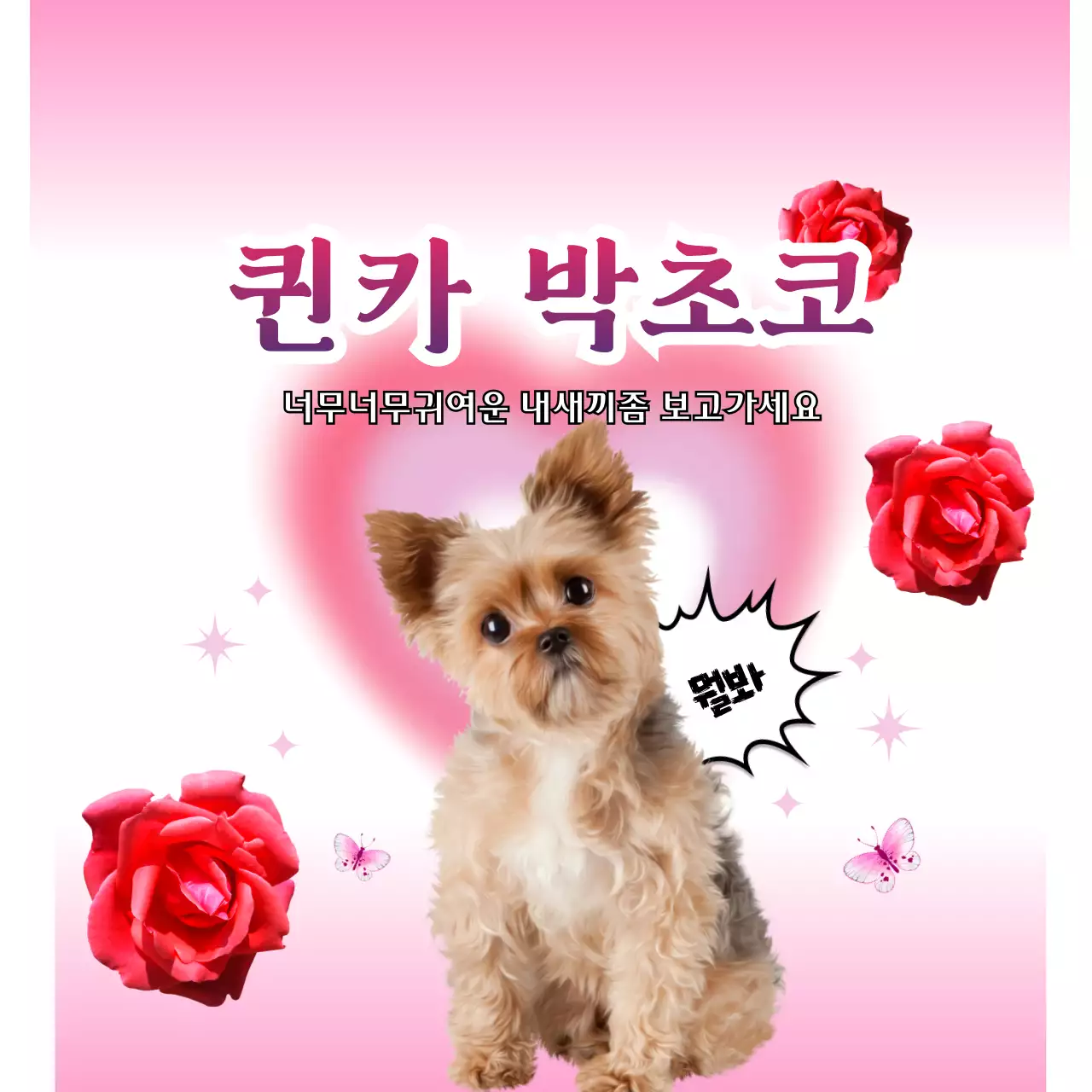 핑크 귀여운 반려동물 홍보