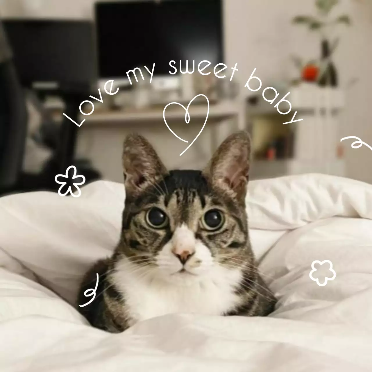 흰색 아기자기한 반려동물 스티커