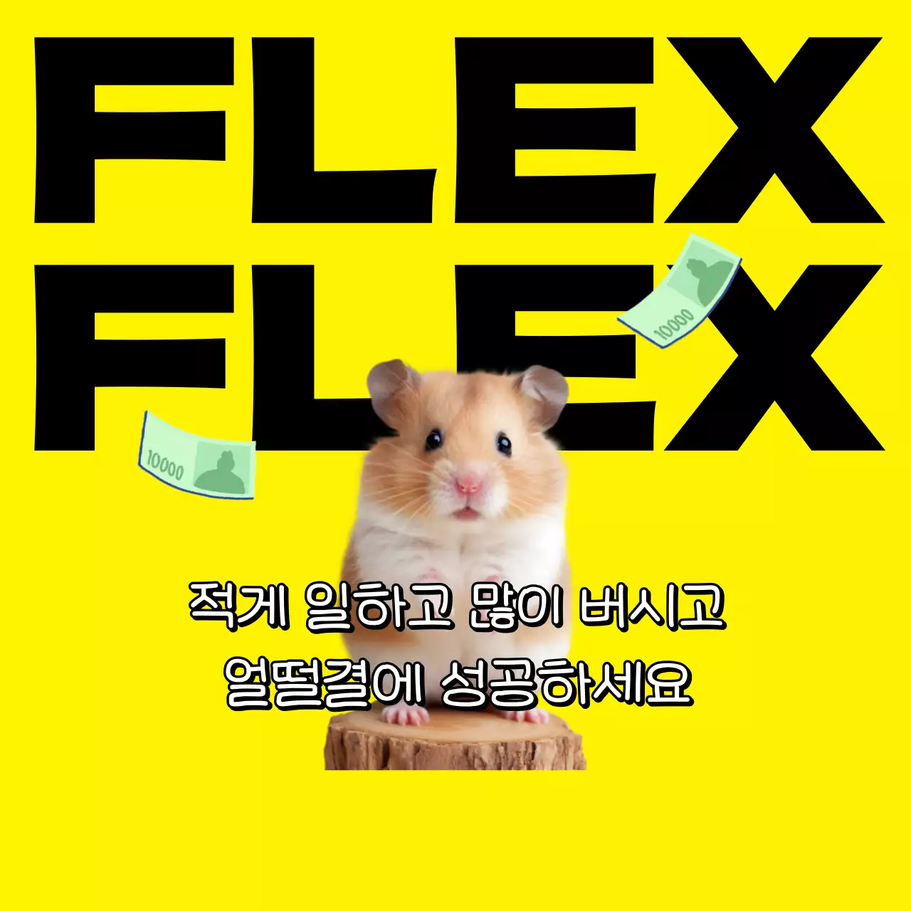 노랑 병맛 동물 짤