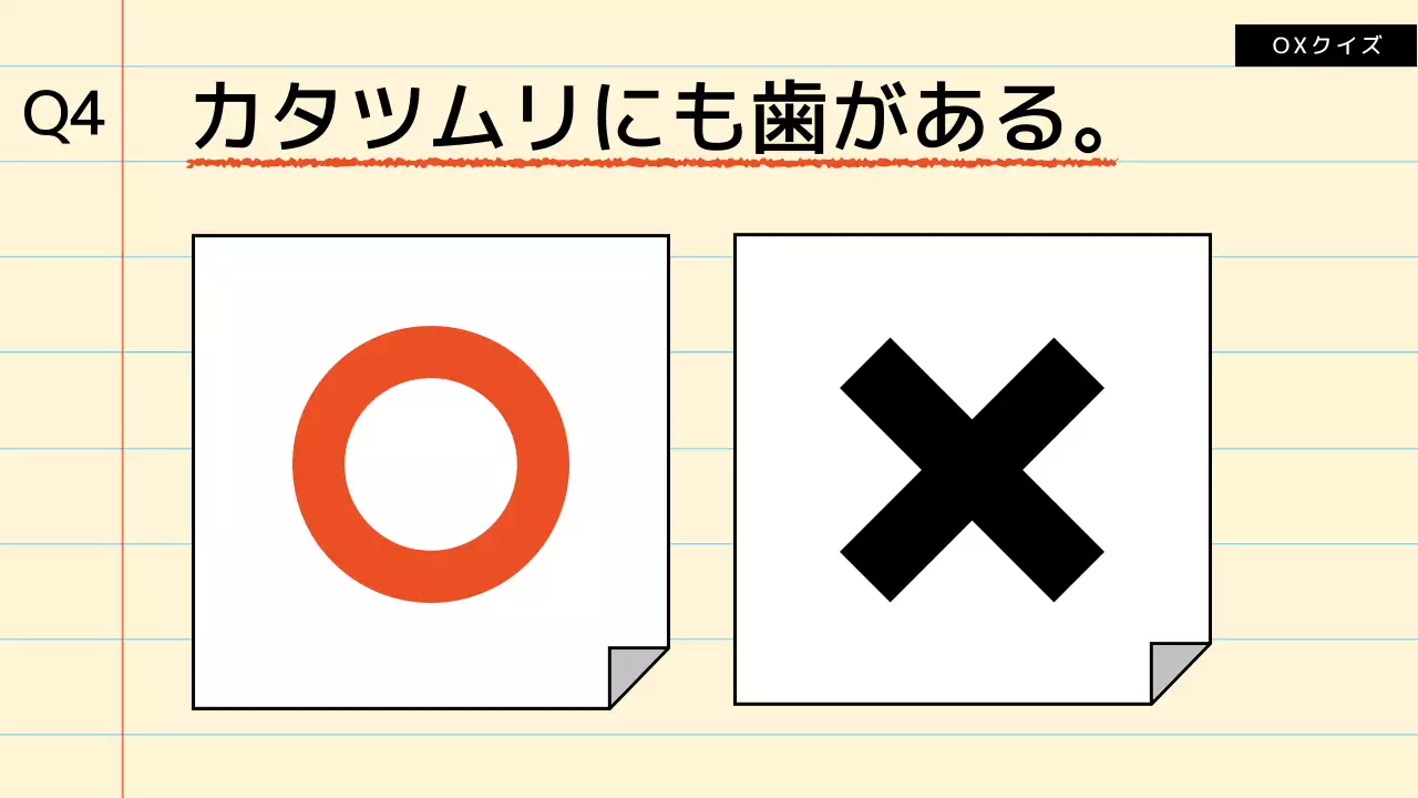 ベージュ かわいい 企画書 プレゼンテーション